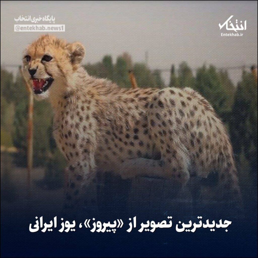 پیروز